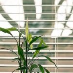 pexels-steve-johnson-845248