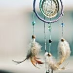 megan-thomas-jmV3c_ijhzI-unsplash