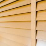 blinds-window_74190-6255