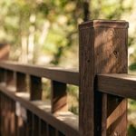 pexels-795059216-19893402