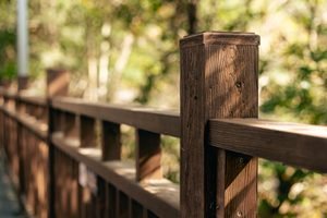 pexels-795059216-19893402